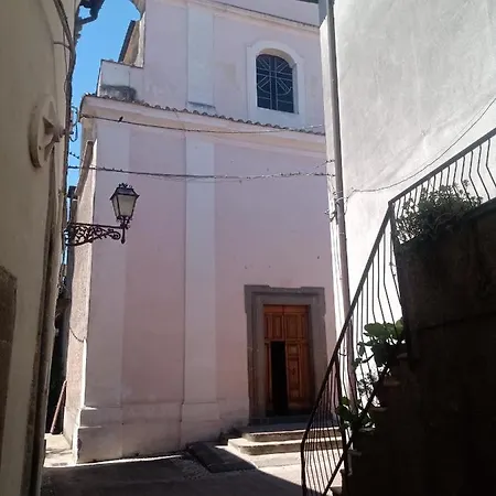 Sacrobosco Faggio